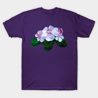 Impatiens - Pale Pink Impatiens T-Shirt